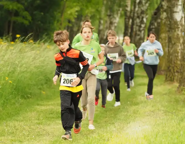 ah250001-640x500-crop-50-50.webp